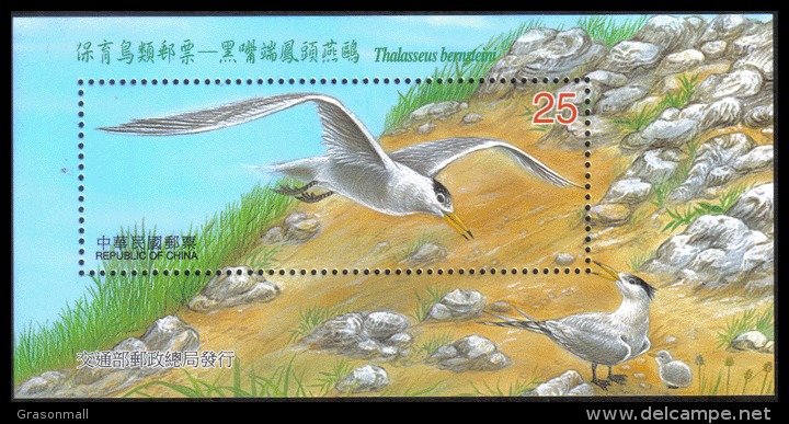 Crested Tern Bird Kingfisher MS Taiwan Stamp MNH - Autres & Non Classés