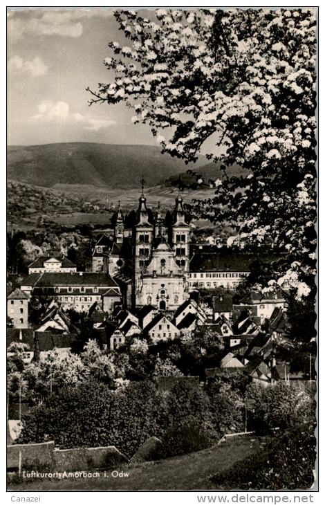 AK Amorbach Im Odenwald, Gel 1961 - Amorbach