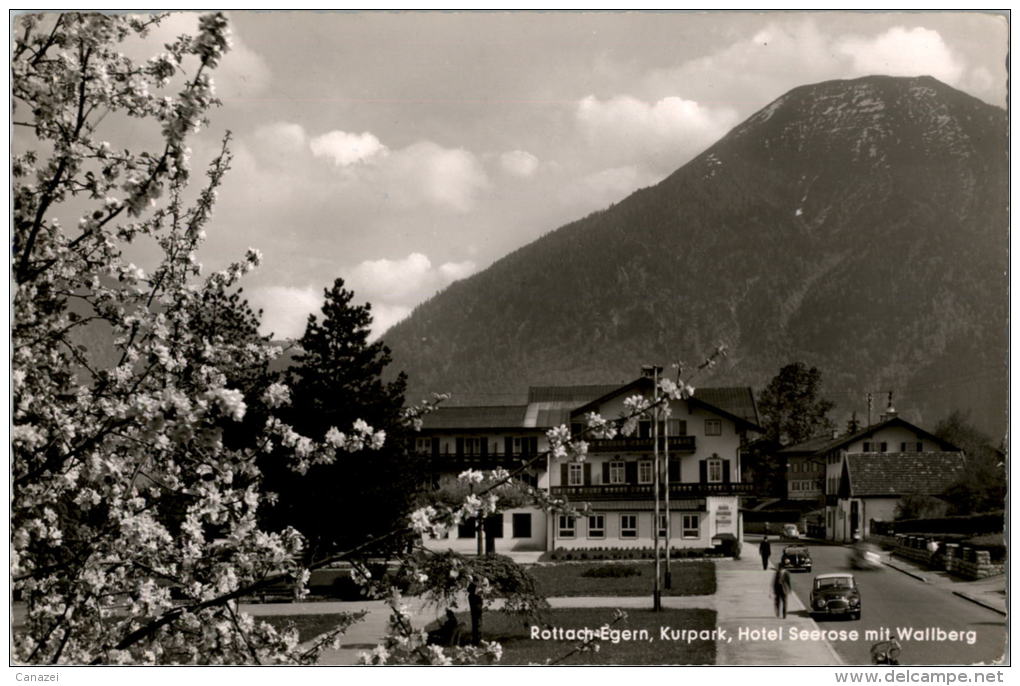 AK Rottach-Egern, Kurpark, Hotel Seerose Mit Wallberg, Gel 1957 - Bad Wiessee