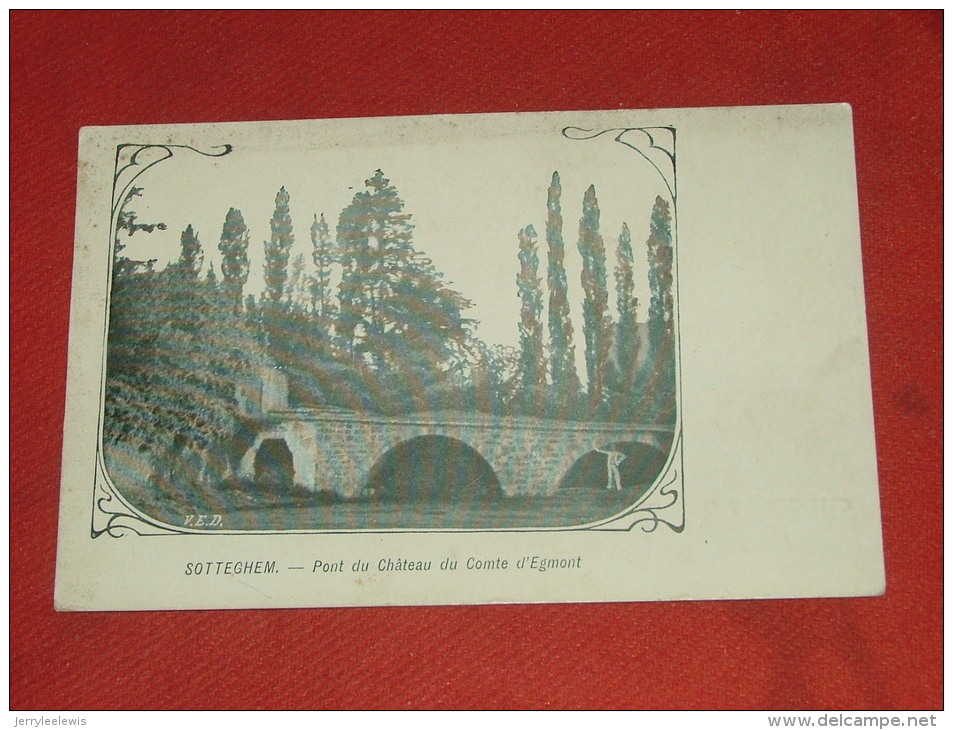 ZOTTEGEM - Pont Du Château Du Comte D´Egmont - Zottegem