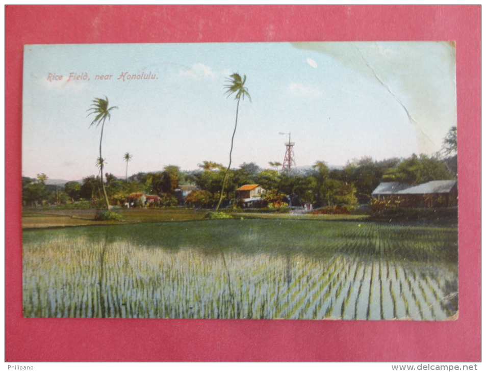 Honolulu,HI--Rice Field--cancel No Year--PJ 130 - Honolulu