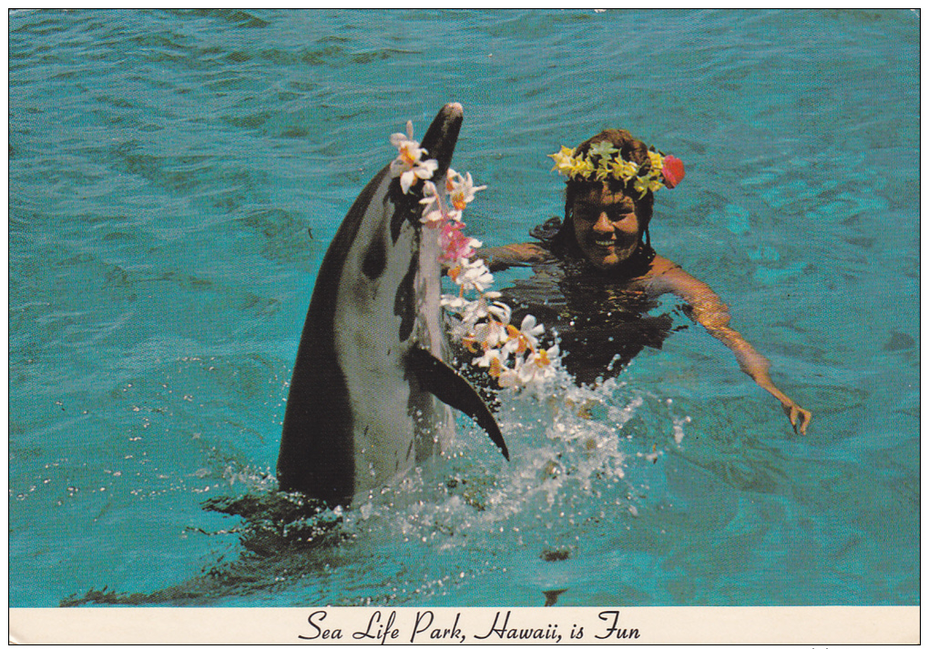 Woman Swimming With Porpoise, Sea Life Park, Makapuu Point, Hawaii, PU-1974 - Sonstige & Ohne Zuordnung