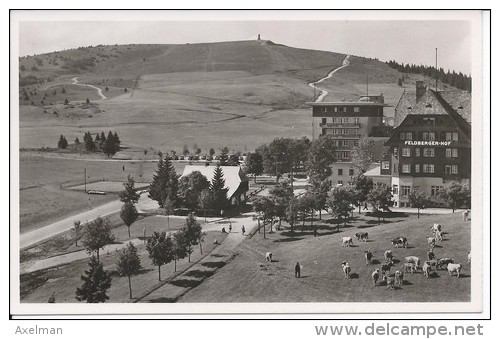 CPSM, FELDBERG: Hotel Feldberger Hof - Feldberg