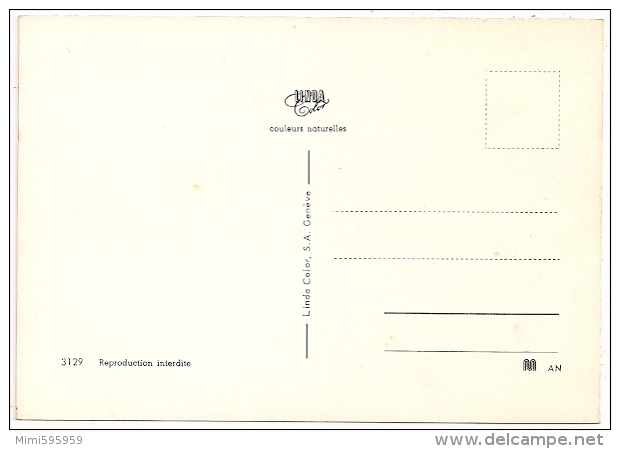 3129 AN - La Prière Du CHIEN - BERGER ALLEMAND - Non écrite Dos Quasi-propre - Scan Recto-verso - Hunde