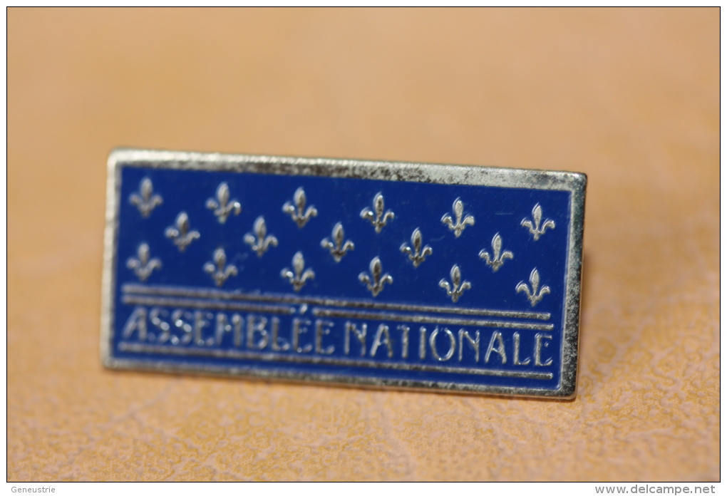 Très Beau Pin´s "Assemblée Nationale" Québec - Canada - Fleur De Lys - Administración