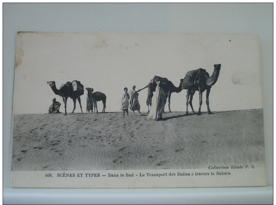 SCENES ET TYPES - DANS LE SUD - LE TRANSPORT DES DATTES A TRAVERS LE SAHARA - 1919 - (EDITIONS IDEALE P.S. N° 408) - Other & Unclassified