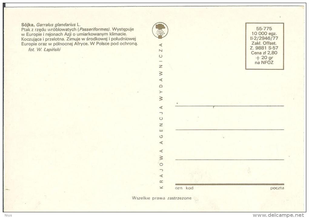 Poland 1980 Canceled In Krakow, Eurasian Jay Bird Birds Fauna - Maximum Cards