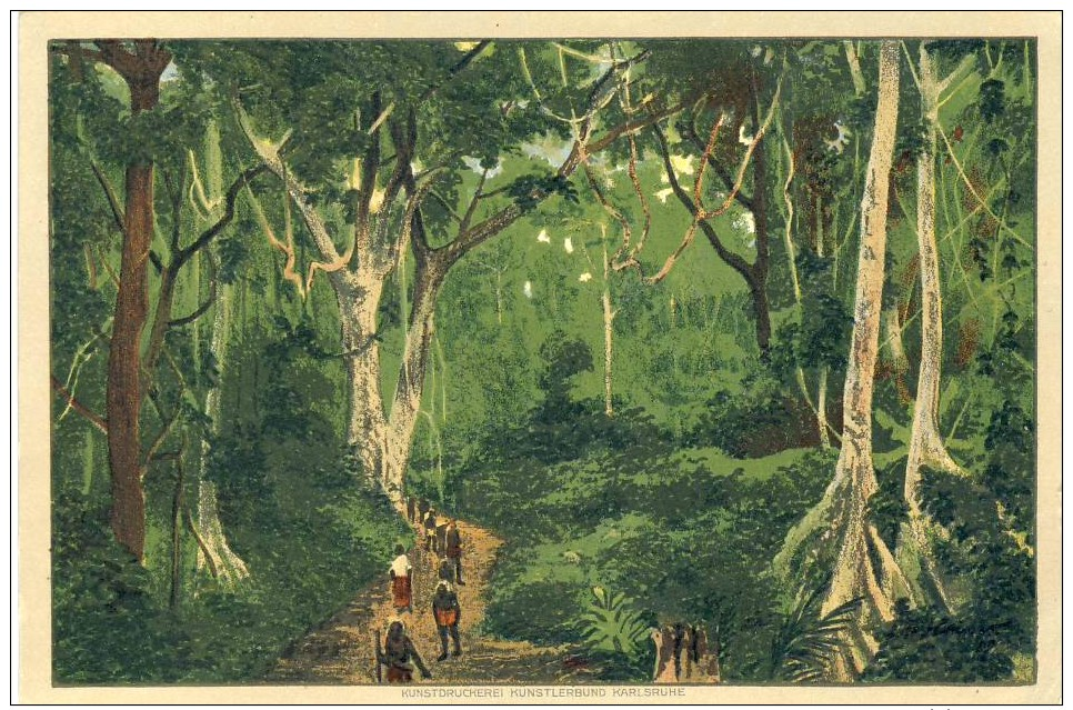 Kamerun V. 1936  Karawanenweg Im Urwald  -  Siehe Foto !!   (25382x) - Cameroun