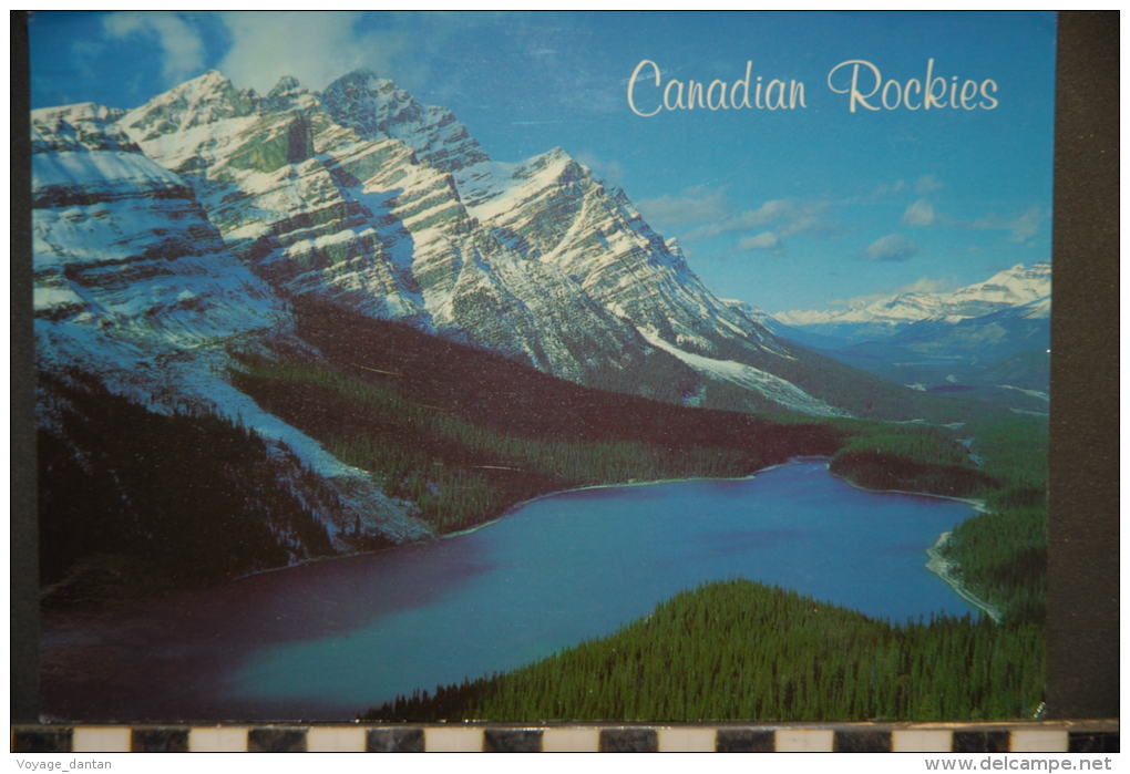 CANADA ALBERTA  CANADIAN ROCKIES  PEYTO LAKE  BANFF NATIONAL PARK - Other & Unclassified