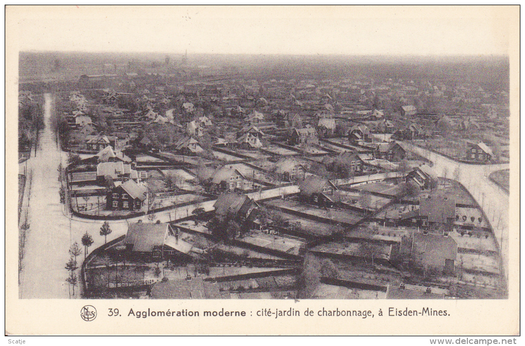 Eisden -  Panorama  -  Cité-jardin De Charbonnage à Eisden-Mines. - Maasmechelen