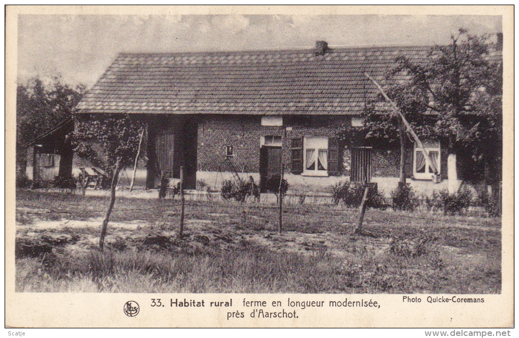 Aarschot. -  Habitat Rural :  Ferme En Longueur Modernisée Près D' Aarschot - Aarschot