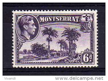 Montserrat - 1943 - 6d Definitive (Perf 14) - MH - Montserrat