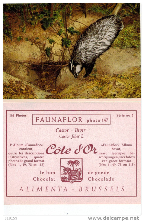 FAUNAFLOR:25 Photos 10,7x7,7cm - Côte D'Or