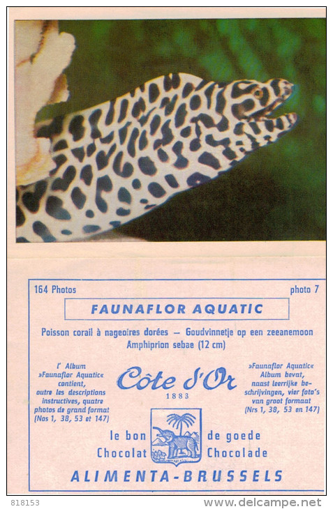 FAUNAFLOR AQUATIC: 30 Photos 10,7x7,7cm - Côte D'Or