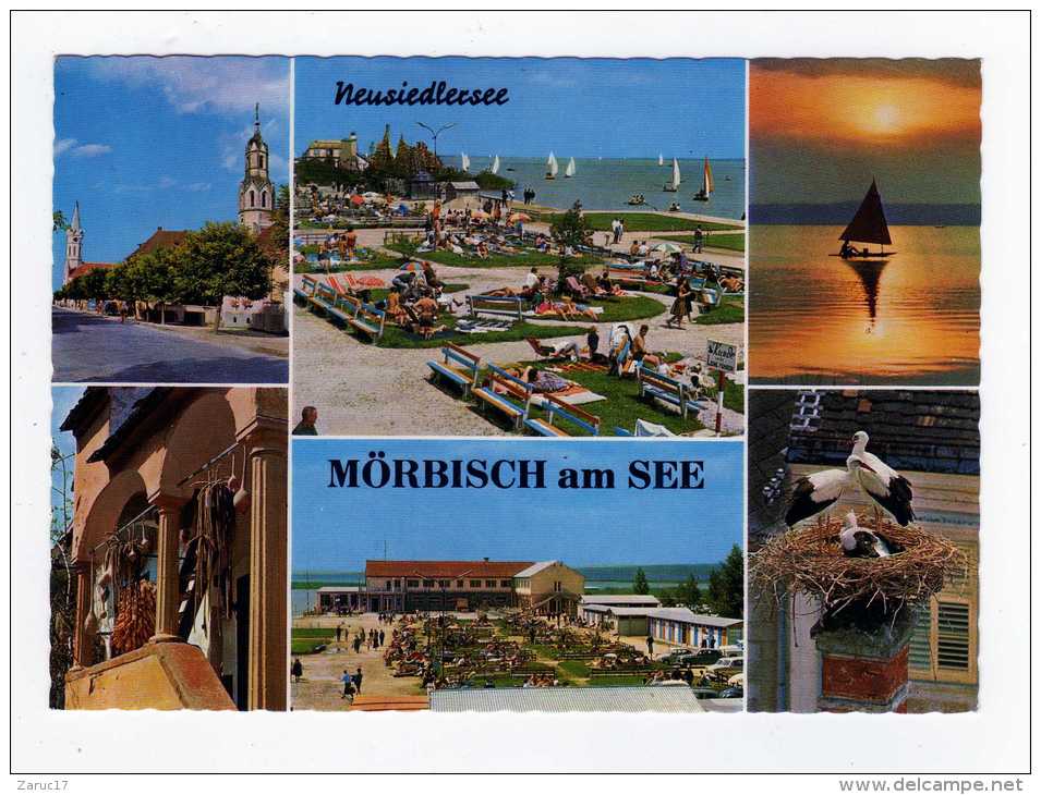 Carte Postale MORBISCH AM NEUSIEDLERSEE BURGENLAND  1973  AUTRICHE - Neusiedlerseeorte