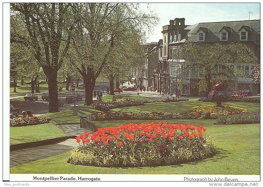 Yorkshire Postcard - Montpellier Parade, Harrogate,Yorkshire  SL2670 - Harrogate