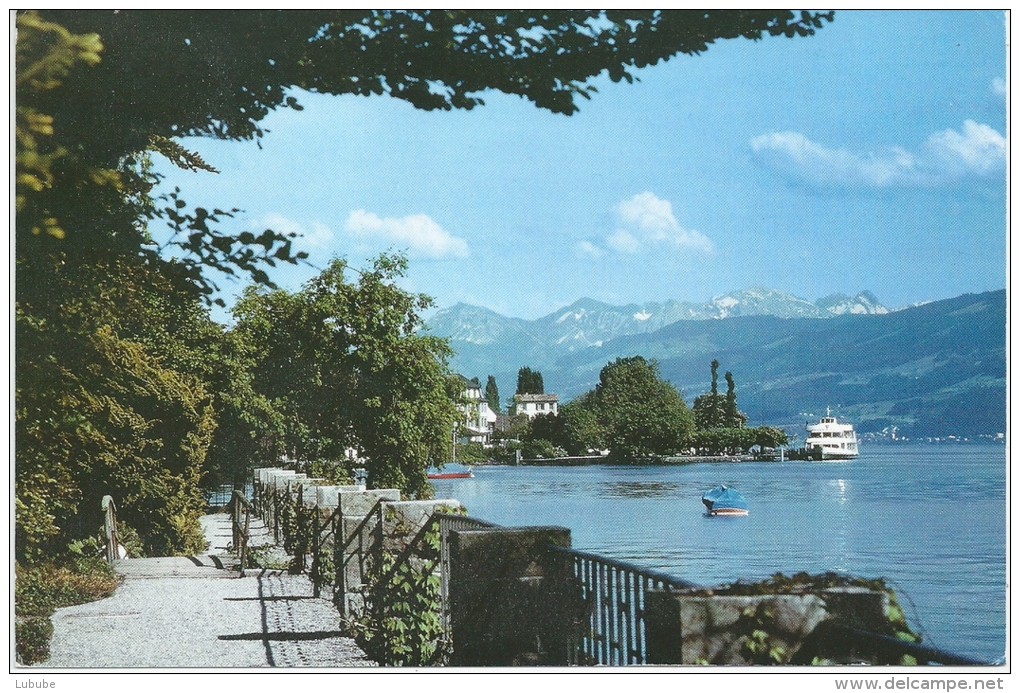 Männedorf - Blick Vom Almapark Richtung Schifflände          Ca. 2000 - Dorf