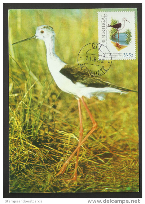 Portugal Oiseau Échasse Blanche Carte Maximum 1982 Black-winged Stilt Bird Maxicard - Maximum Cards & Covers