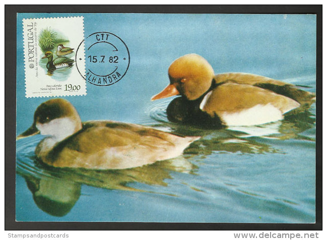 Portugal Oiseau Nette Rousse Canard Carte Maximum 1982 Red-crested Pochard Duck Bird Maxicard - Cartes-maximum (CM)