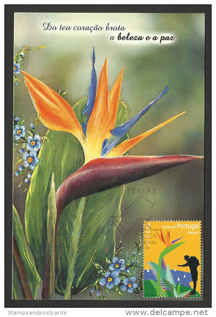 Madère Portugal Europa CEPT 2004 Carte Maximum Fleur Madeira Maxicard Europa 2004 Flower - Tarjetas – Máximo