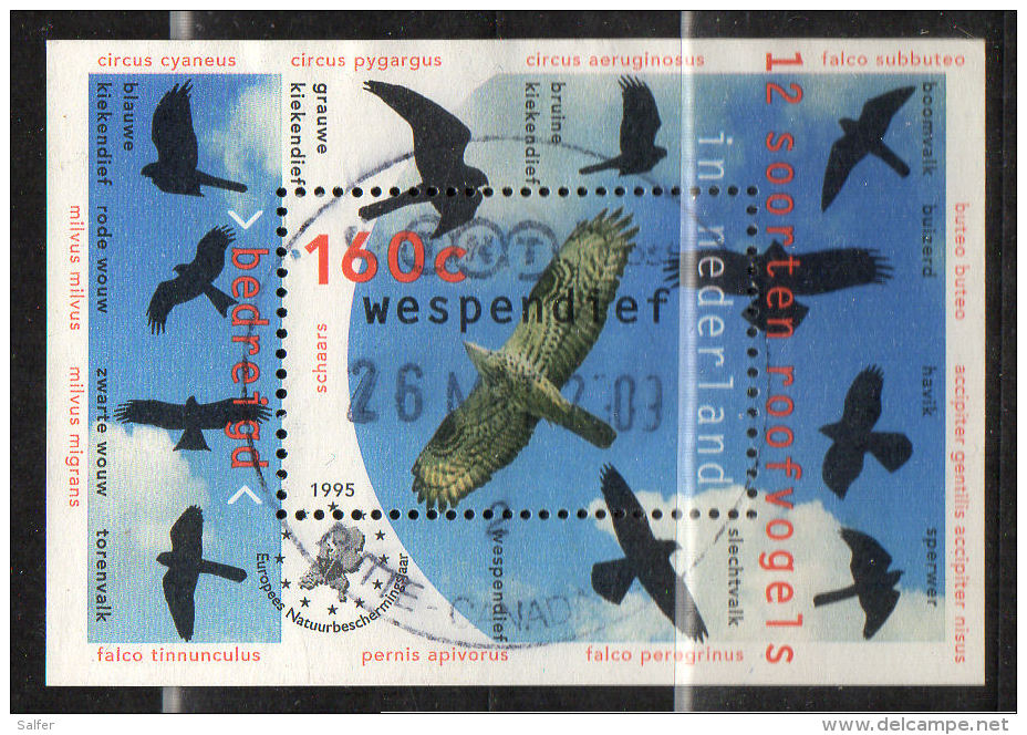 NEDERLAND - 1995  Birds  Block Used - Oblitérés