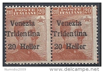 1918 TRENTINO ALTO ADIGE EFFIGIE COPPIA 20 H MNH ** - RR11834-2 - Trento