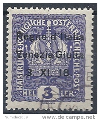 1918 VENEZIA GIULIA USATO 3 H - RR11835-2 - Vénétie Julienne