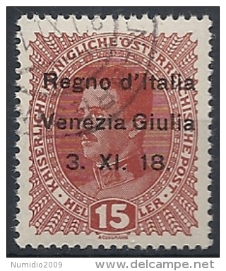 1918 VENEZIA GIULIA USATO 15 H - RR11839 - Vénétie Julienne