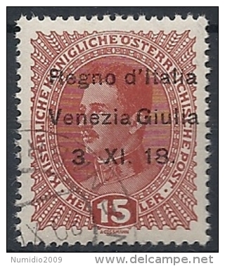 1918 VENEZIA GIULIA USATO 15 H - RR11839-2 - Venezia Giulia