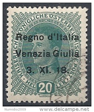 1918 VENEZIA GIULIA USATO 20 H - RR11841 - Venezia Giulia