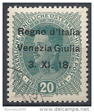 1918 VENEZIA GIULIA USATO 20 H - RR11842 - Venezia Giulia