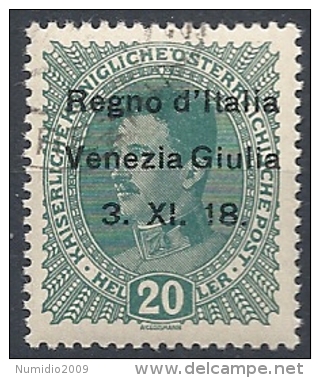 1918 VENEZIA GIULIA USATO 20 H - RR11843 - Vénétie Julienne