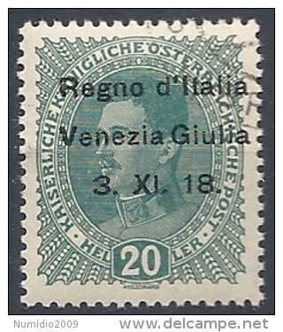 1918 VENEZIA GIULIA USATO 20 H - RR11844 - Venezia Giulia