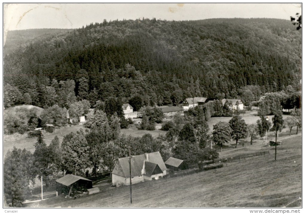 AK Holzhau / Kr. Brand-Erbisdorf, Gel, 1979 - Holzhau