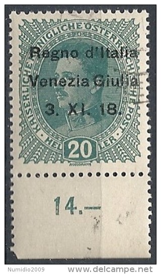 1918 VENEZIA GIULIA USATO 20 H - RR11846 - Venezia Giulia