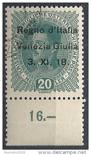 1918 VENEZIA GIULIA USATO 20 H - RR11846-2 - Vénétie Julienne