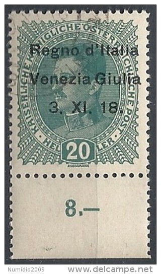 1918 VENEZIA GIULIA USATO 20 H - RR11846-3 - Venezia Giulia