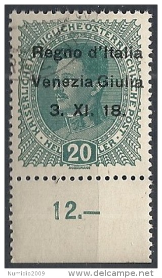 1918 VENEZIA GIULIA USATO 20 H - RR11846-5 - Vénétie Julienne