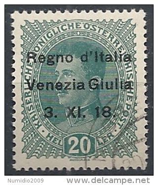 1918 VENEZIA GIULIA USATO 20 H VARIETà - RR11850 - Venezia Giulia