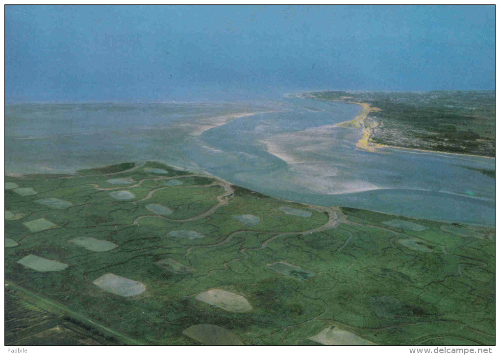 Carte Postale 80. La Baie D'Authie Vue D´avion Trés Beau Plan - Autres & Non Classés