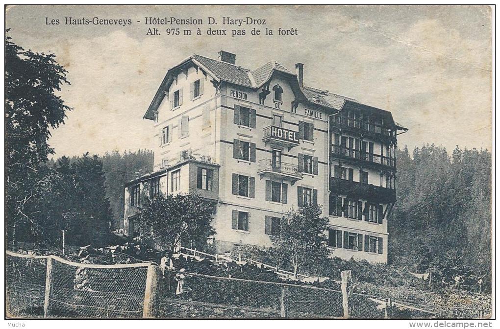 Les Hauts Geneveys Hôtel Pension D. Hary-Droz - Geneveys