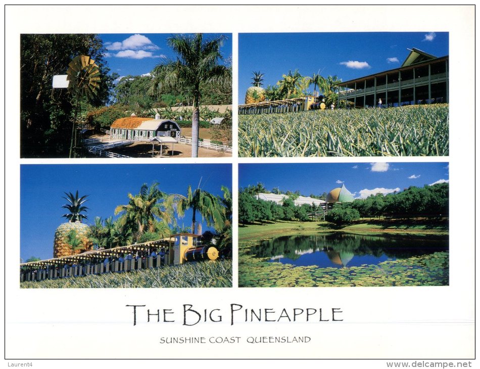 (327) Australia - QLD - Big Pineapple With Sugar Cane Train - Sunshine Coast