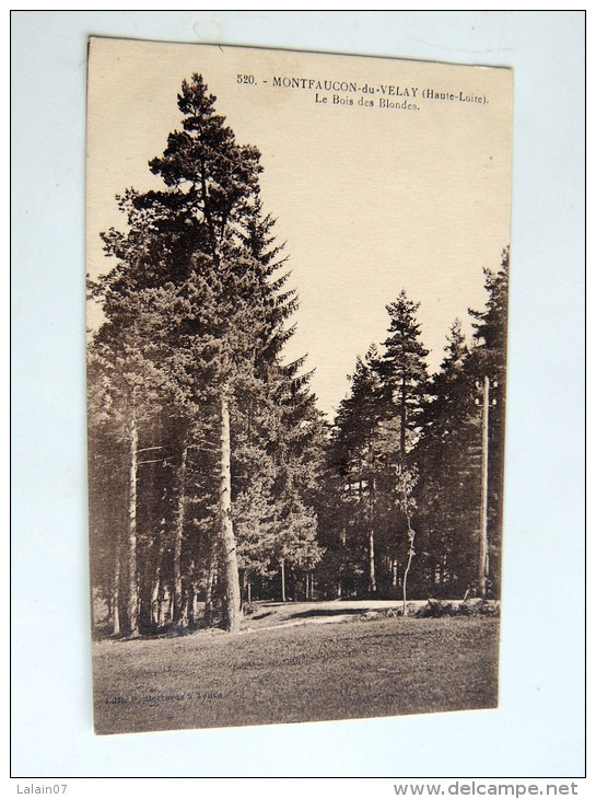 Carte Postale Ancienne : MONTFAUCON EN VELAY : Le Bois Des Blondes - Montfaucon En Velay