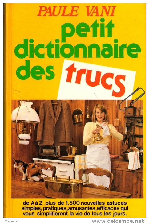 Petit Dictionnaire Des Trucs, De Paule Vani - Dictionnaires