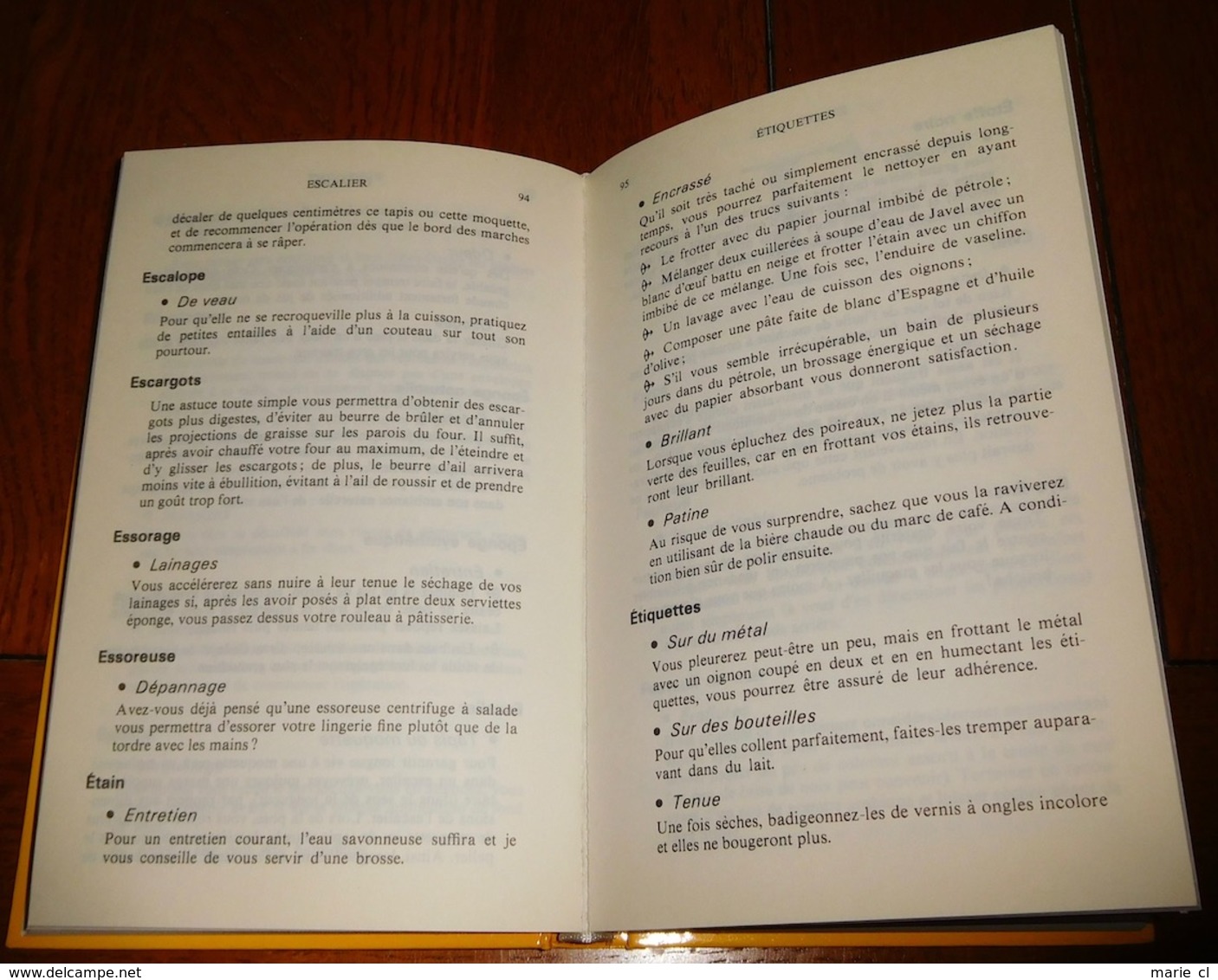 Petit Dictionnaire Des Trucs, De Paule Vani - Dictionnaires