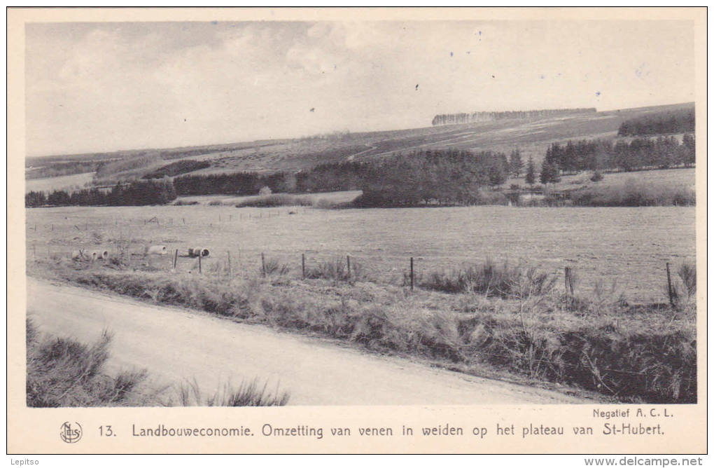 ST HUBERT   Nels  ACP Nr 13 " Omzetting Van Venen In Weiden Op Het Plateau Van St Hubert"  Voir Scans - Gedinne