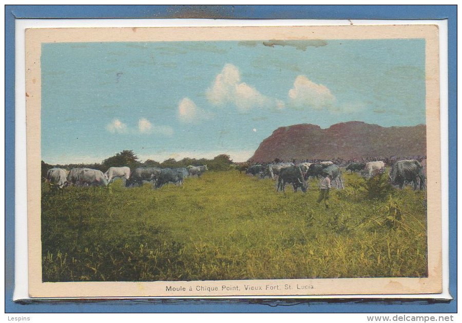 Amérique - Antilles -  Sainte Lucie - Sainte-Lucie