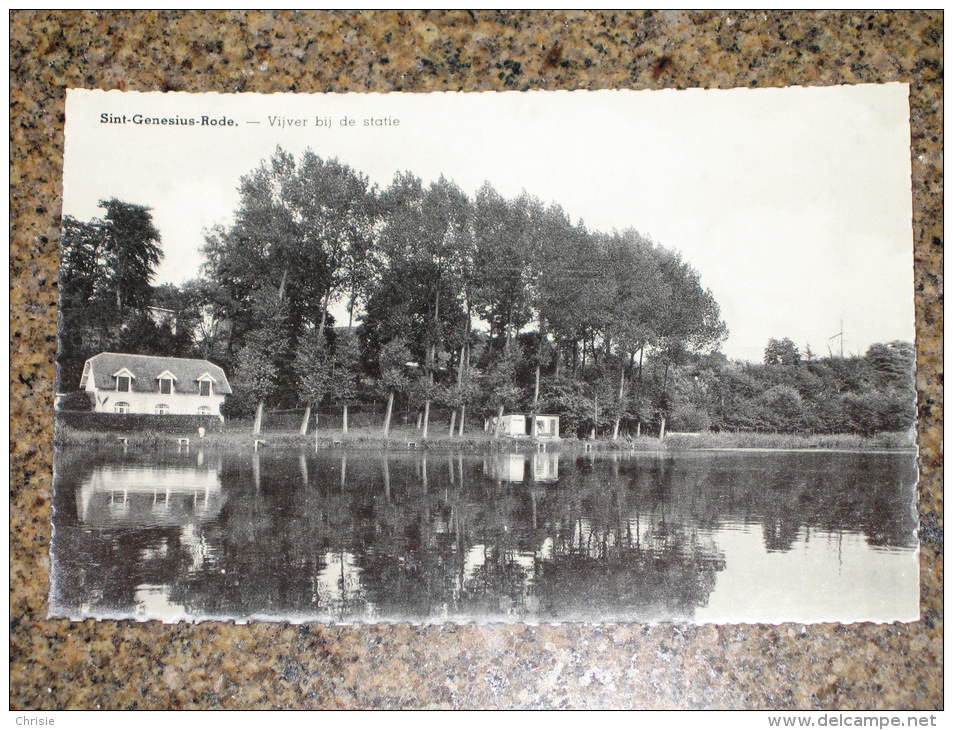 ST GENESIUS RODE VIJVER ETANG L101 - Rhode-St-Genèse - St-Genesius-Rode