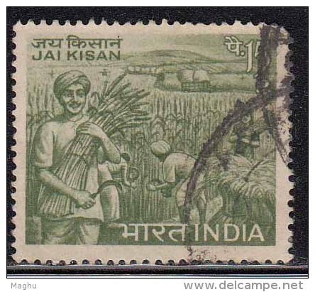 India Used 1967, Lal Bahadur Shastri, 'Jai Kisan' Agriculture & Farmer,  (Sample Image) - Oblitérés