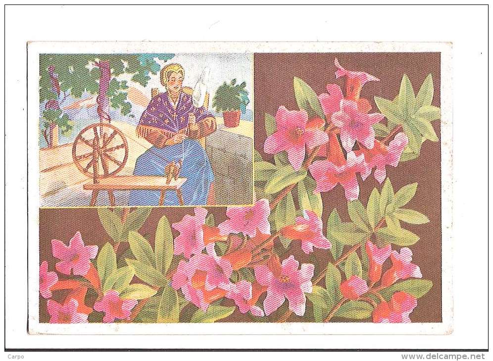 FLEURS DES ALPES. - N°9. Rhododendrons. (Fleur, Costumes, Illustrateur) - Autres & Non Classés